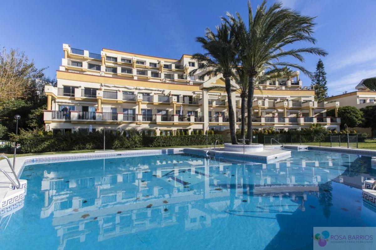 Oleholidays 841 Romana Playa Frente Al Mar *
